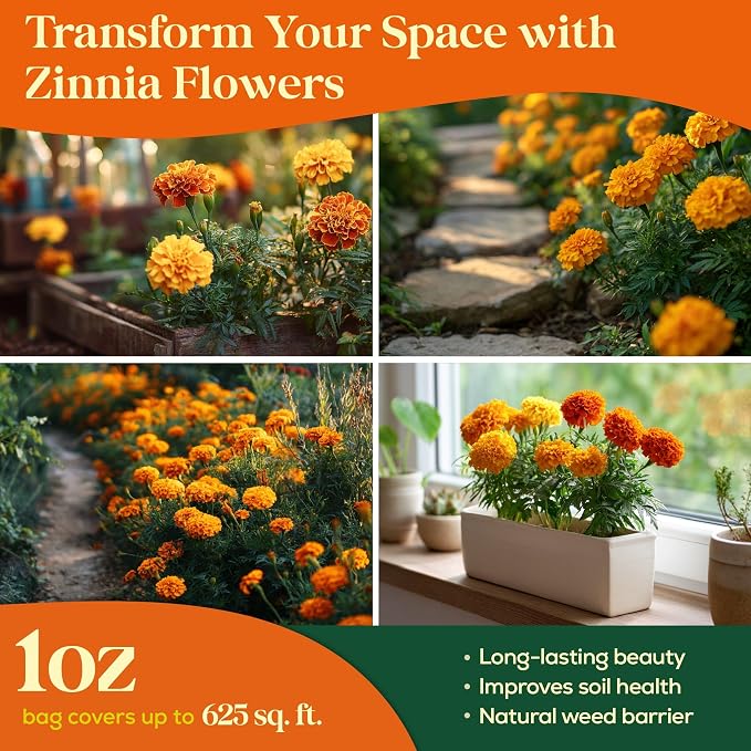 Seedphony Marigold Seeds Pack 1 oz - 9,250 Non-GMO Heirloom Marigold Seeds for Planting, Perennial Flowers in Waterproof Seed Packet, Wildflower Seeds for Planting Garden Indoor & Outdoor Gardening