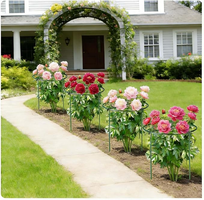 6 Pack Heavy Duty Peony Cages and Supports, 12" D x 18" H, Large Metal Support Rings, Easy Ground Insertion, Easy Installation & Durable, Sturdy for Climbing Plants