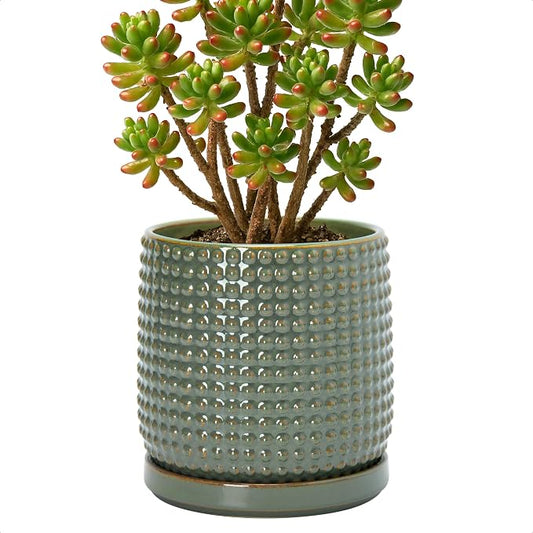 D'vine Dev 6 Inch Ceramic Beaded Stoneware Planter Pot - Flower Pot with Drainage Holes and Saucers for Indoor Succulent Plants or Flowers, Olive, 27-C-X-0