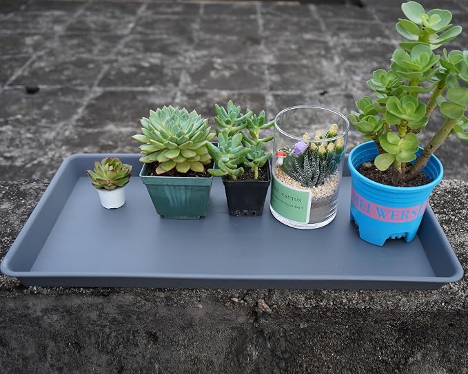 VUWEZ Rectangle Plant Tray, Plant Drip Tray, Plant Pot Saucers, Plant Germination Trays, Plant Saucers, 14.5'' x 11'' x 1.5'' (2 pack), Gray