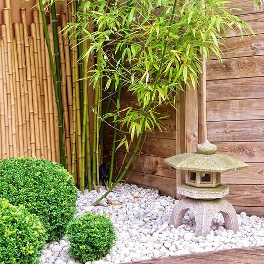FANTIAN 40 lbs White River Rocks for Landscaping, 2-3 Inch Polished Pebbles for Indoor Plants, Decorative White Stones for Planters, Vase, Aquarium, Fish Tank and Garden