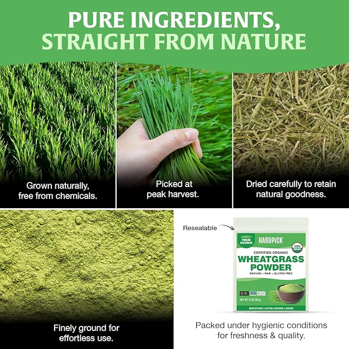 HANDPICK USDA Organic Wheatgrass Powder (10oz) Rich Green Powder - Lab Tested | 100% Whole Leaf | Gluten Free, Non-GMO | No Sugar, No Artificial Ingredients | Resealable Pouch (Packaging may vary)