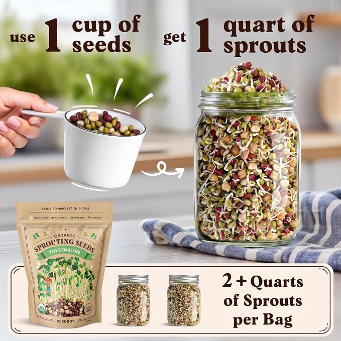 Seedboy Organic Non-GMO Sprouting Seeds, Protein Blend - USA Grown Microgreens Mix with Garbanzo, Mung Bean, Adzuki Beans, Green Pea - 8 oz Bag Makes 6 Quarts / 24 Servings (Protein Blend)