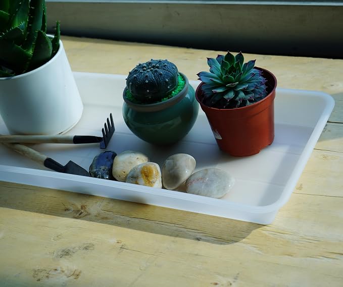 VUWEZ 6 Pack Plastic Plant Saucer, Rectangular, Indoors Outdoor, Drip Tray for Flower Pot, Windowsill (6 X 11 Inch, Clear)