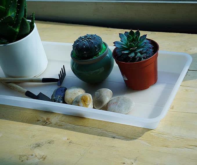VUWEZ 6 Pack of Plastic Plant Tray Saucer Rectangular, Pot Trays Saucers for Indoors Outdoor, Plant Water Drip Trays for Flower Pot Planter, Windowsill Planter Tray (6.5 X 13 Inch, Clear)