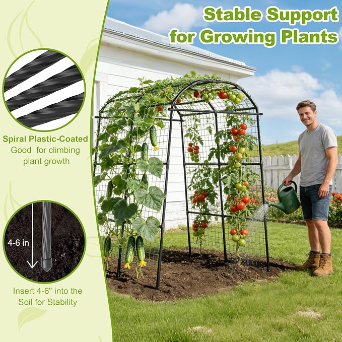 Miory Garden Arch Trellis for Climbing Plants Outdoor, 7ft Tall Plants Support Trellis for Climbing Vine Tomato Vegetable Flower Fruit, Cucumber Trellis for Raised Bed (71 x 83 Inch)