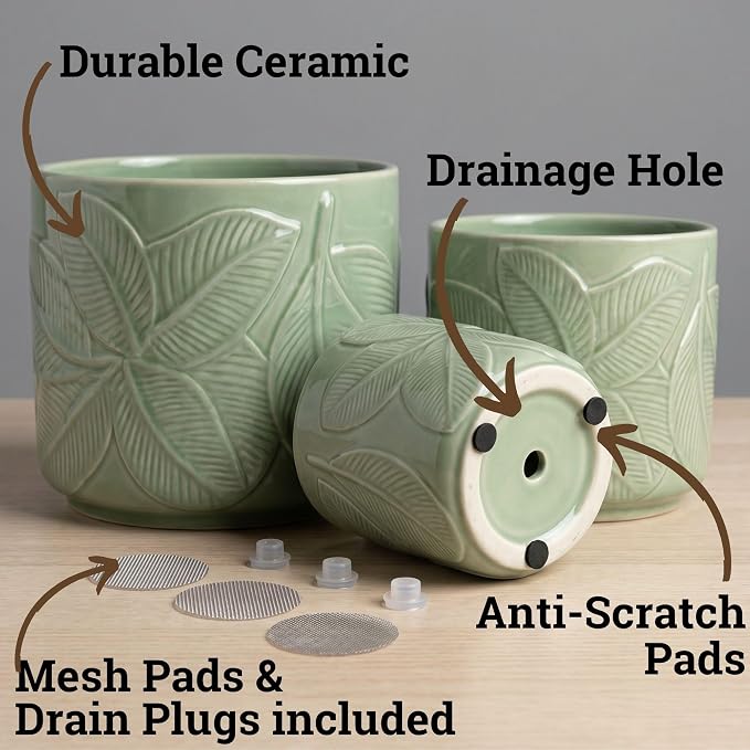 Ceramic Pots for Plants Set of 3 Sizes - 6, 5, 4 Inch Diameter Plant Pots with Drainage Holes - Ceramic Planters for Indoor Plants - Decorative Flower Pot - Plant Pot with Drainage - Indoor Planter