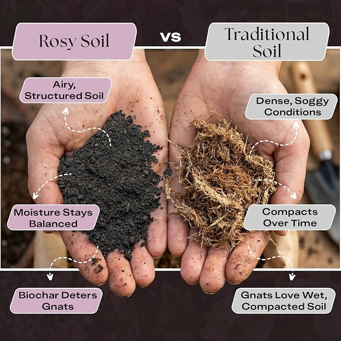 Rosy Soil Seedling Seed Starter Soil Mix, Organic, Peat-Free, 4 Quarts | Worm Castings, Biochar and Mycorrhizae Blend, For Seed Germination, Microgreens, Propagation, Herbs, Vegetables, Flowers
