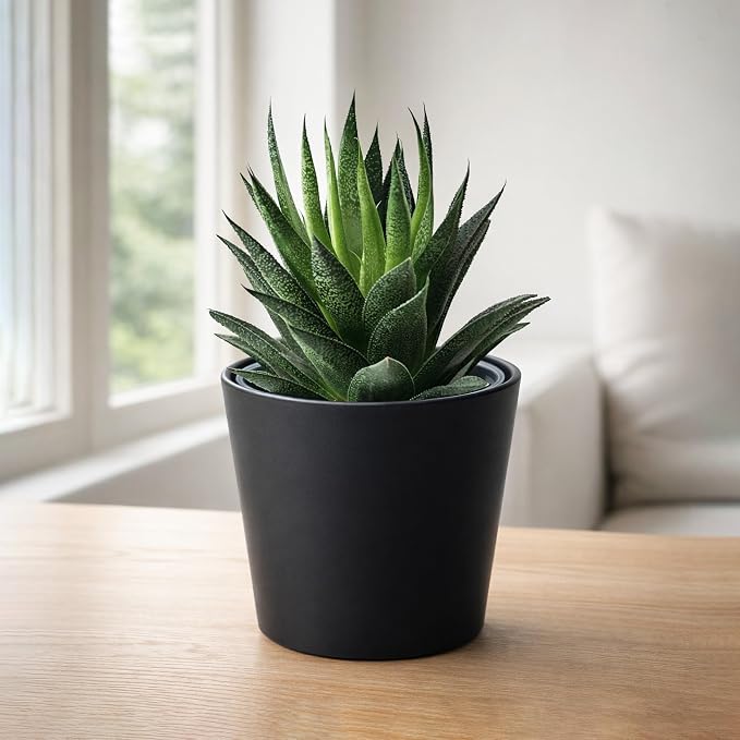 Phoenix Vine 4.5 Inch Black Plastic Cachepot with Clear Nursery Pot, Decorative Lightweight Planter Cover with Transparent Inner Pot for Indoor Houseplants, Pack of 6, 24-B-E-6