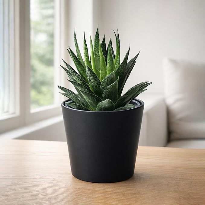 Phoenix Vine 4.5 Inch Black Plastic Cachepot with Clear Nursery Pot, Decorative Lightweight Planter Cover with Transparent Inner Pot for Indoor Houseplants, Pack of 8, 24-B-E-8