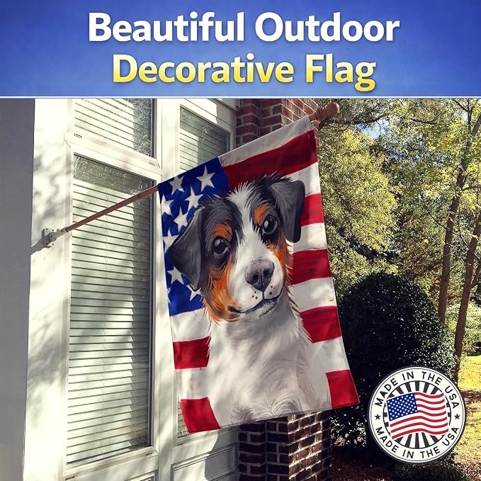 Caroline's Treasures CK6502CHF Danish-Swedish Farmdog American Flag House Flag Large Porch Sleeve Pole Decorative Outside Yard Banner Artwork Wall Hanging, Polyester, House Size, Multicolor