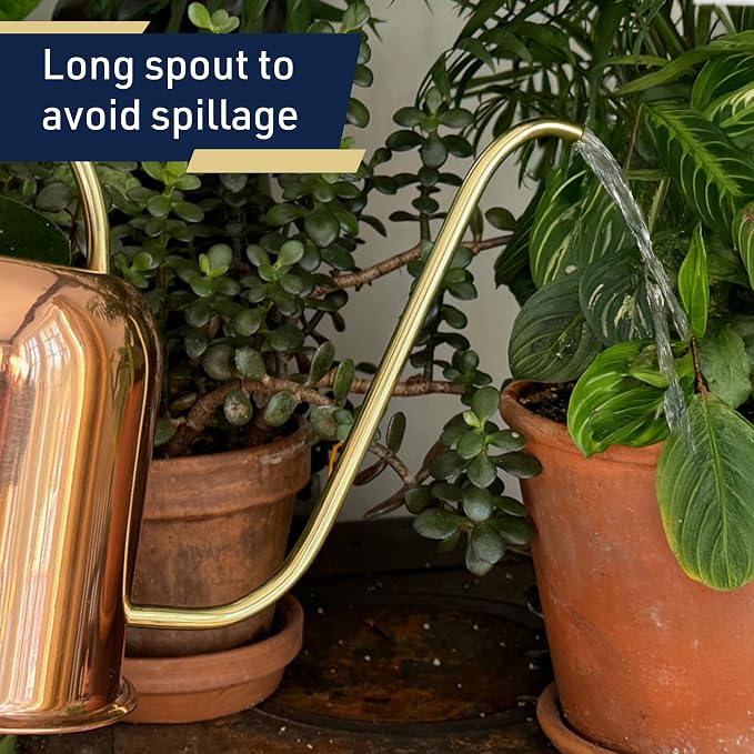 Copper Watering Can Indoor Plants - 48oz Long Spout Precise Small Water Can for Plants, Bonsai, Succulents, Houseplants, or Garden - Metal Inside or Outdoor Plant Watering Cans by Kings County Tools