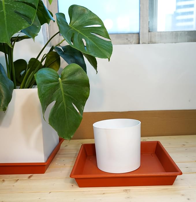 NIMYAU Square Plant Saucer 10 Inch 5 Pack, Plant Stand Flower Pot No Holes, Plant Trays for Pots Heavy Duty Plastic Plant Saucers for Indoors Outdoors Terracotta Plant Lover Gardening Gifts