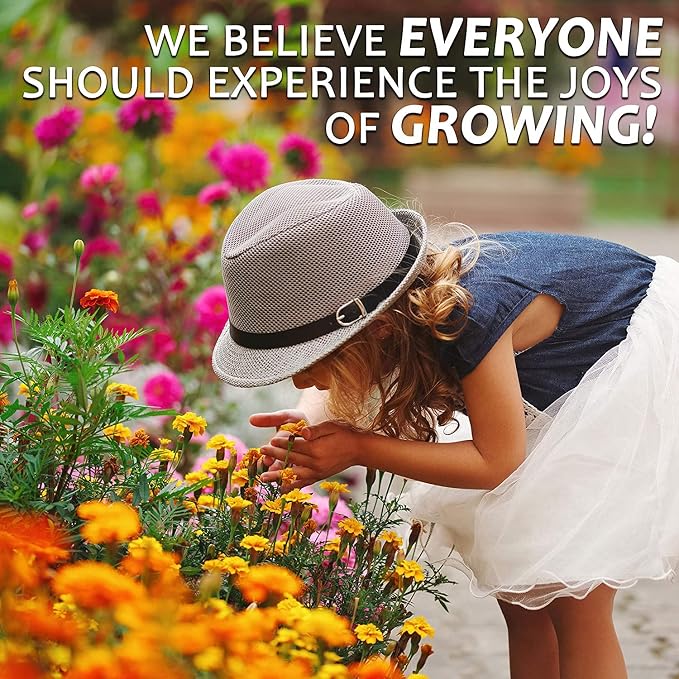 Mountain Valley Seed Co Wildflower Seed Bulk, 3 Oz. 80,000+ Seeds | 19 Non-GMO Flower Seeds for Shade, Annual & Perennial Wildflower Mix for Partial Shade—Shade Tolerant