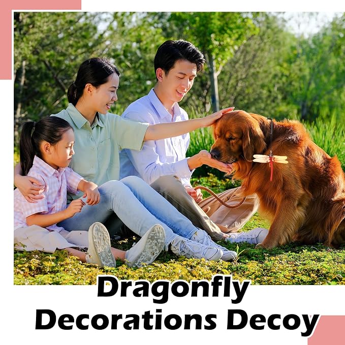 Qualirey 1pc Dragonfly Hat Clip Realistic Simulated Dragonfly with Hook Clip Attach to Backpack Hat for Indoor Yard Garden Plant Decor (Red)