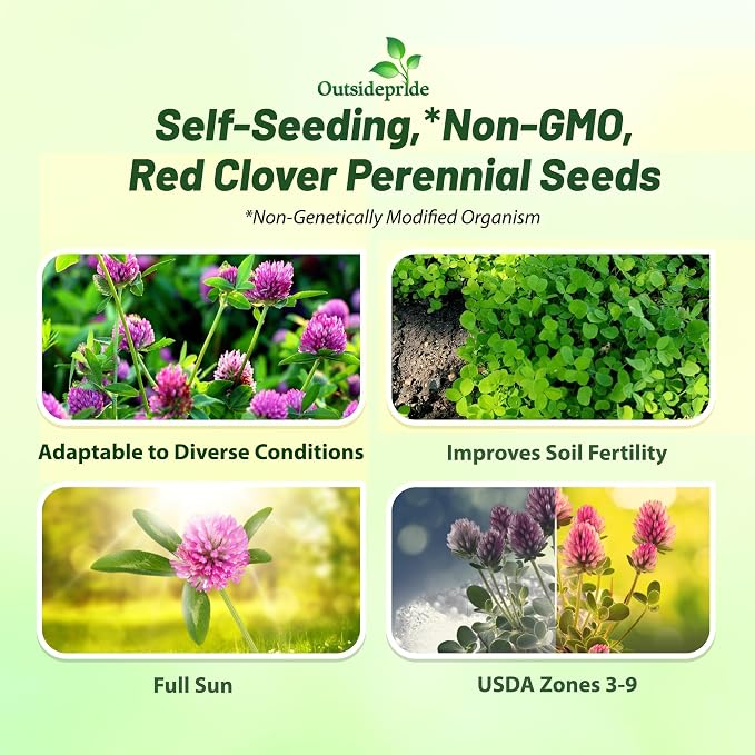 Outsidepride Perennial Red Clover Seeds - 5 lbs. Self-Seeding, Nitrocoated, Inoculated for Lawn, Yard, Forage, Pasture, Hay, Nitrogen Fixation, Soil Improvement & Crop Rotation Programs