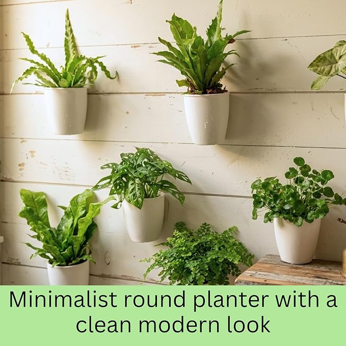 LaLaGreen Wall Mounted Planters for Indoor Plants - 10 Pack, 5 Inch Self Watering Plastic Pot, Living Hanging Eco Wall Planter System, Trendy Live Wall Garden for Herb, White