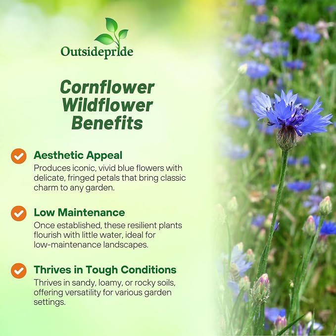 Outsidepride Blue Cornflower Seeds for Planting - 5 lb. Annual Bachelor's Button Flower Seeds for Cut Flower Gardens, Drought-Tolerant, Attracts Pollinators, Ideal for Borders & Bouquets