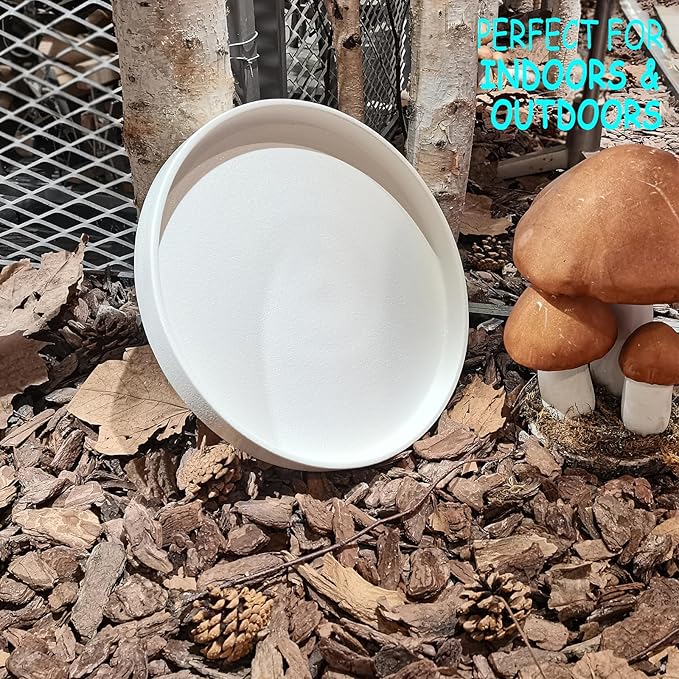 Plant Saucer for Indoors - 12 Inch Ceramic Plant Saucer Plant Water Catcher Tray Plant Pot Saucer Plant Drainage Tray, Durable Sturdy Flower Pot Saucers (Frosted White)