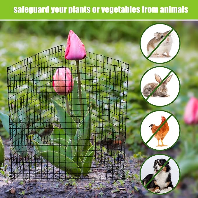 Zubebe 14 Pack Small Wire Plant Protectors Square Plant Protectors from Animals Mesh Cage Chicken Wire Cloche for Shrubs and Vegetables with Ground Stakes and Nylon Ties (12 x 12 Inch)