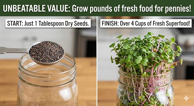 Todd's Seeds Broccoli & Friends Sprouting Mix, 1lb - Non-GMO | Fills 12-15 Jars - Non-GMO, Lab Tested, Chemical Free & USA Grown