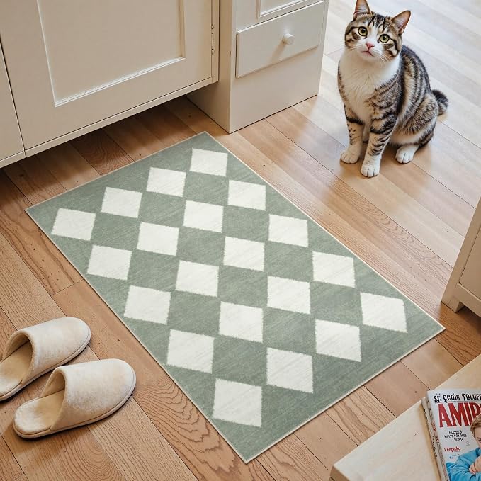 Lahome Zelie Checkered Washable 2x3 Green Kitchen Rugs Non Slip, Small Printed Indoor Door Mat for Entryway, Moroccan Trellis Ultra-Thin Throw Carpet for Bedroom Laundry Entrance Decor (2'x3',Green)