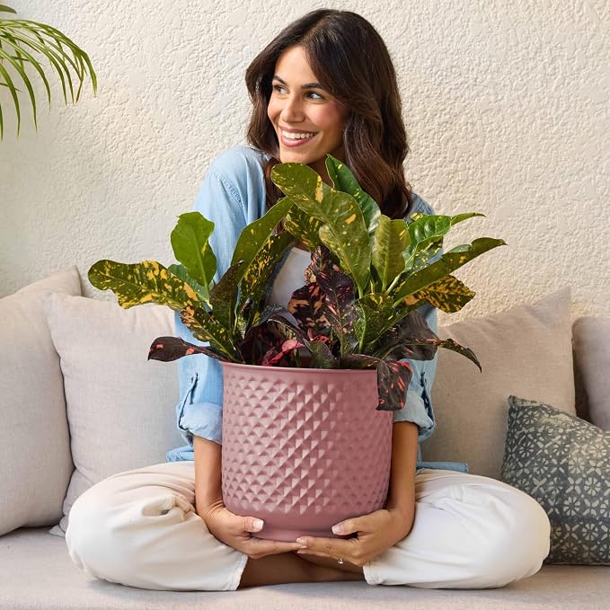 Bloem Prism Indoor Metal Cachepot Set - Includes 6", 8", 10" and 12" Decorative Planters with Powder-Coated Finish, Removable Drain Plugs, Dusty Rose