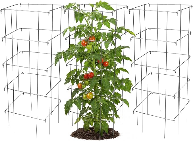 Garden Elements Square Tomato Cage, 40 Inch (Pack of 3) – Heavy Duty Galvanized Steel Plant Support, Collapsible Garden Trellis with 8-Leg Stability for Climbing Vegetables & Vines