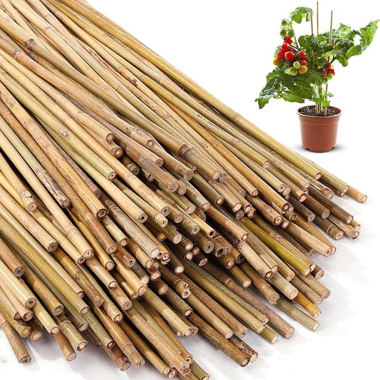 Suclain 300 Pcs Bamboo Plant Stakes Natural Garden Support Sticks for Climbing Plants Sturdy Bamboo Garden Stakes for Tomato, Beans, Flowers and Potted Plants, Vegetables, Indoor & Outdoor (2 ft)
