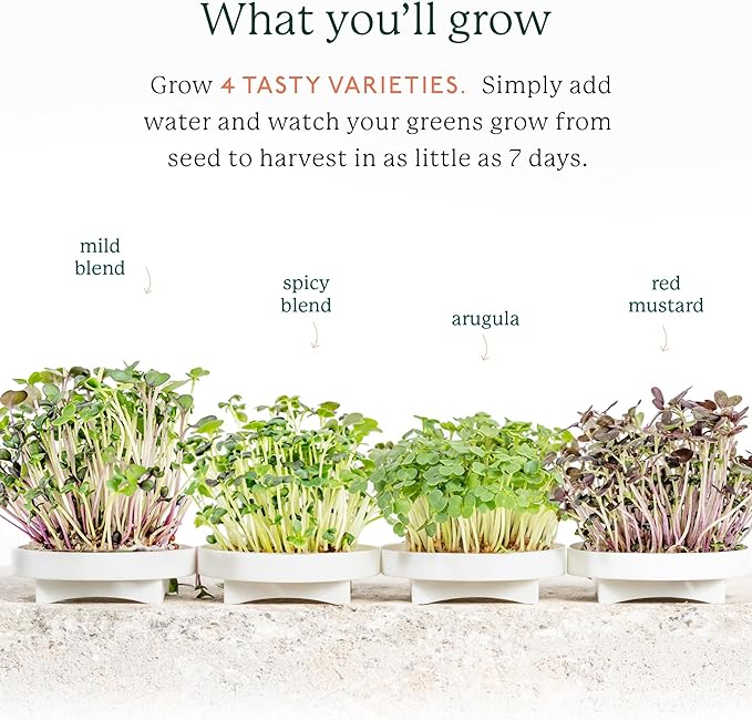 Gardyn Complete Microgreens Growing Kit - Indoor Herb Garden | Indoor hydroponics growing system nursery seed starter tray, 20 seed pads, bamboo wicks, 10 grow plates