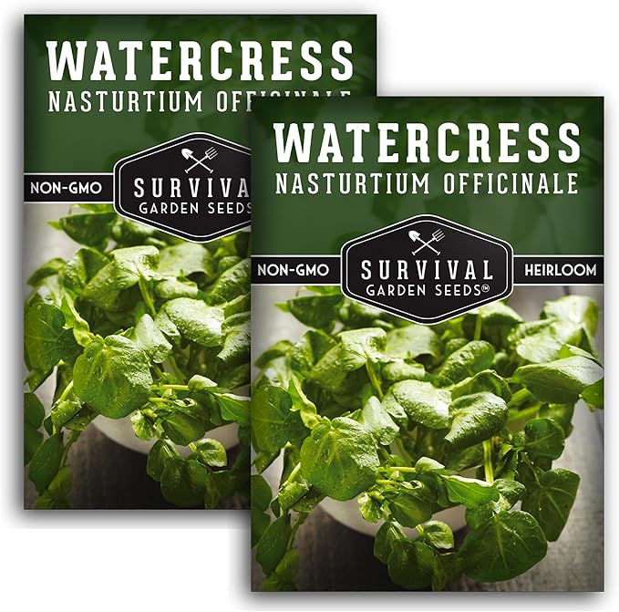 Watercress Seeds for Planting - Heirloom Aquatic Herb Greens - Non-GMO Nasturtium Officinale for Hydroponic Growing - Survival Garden Seeds (2 Packs)