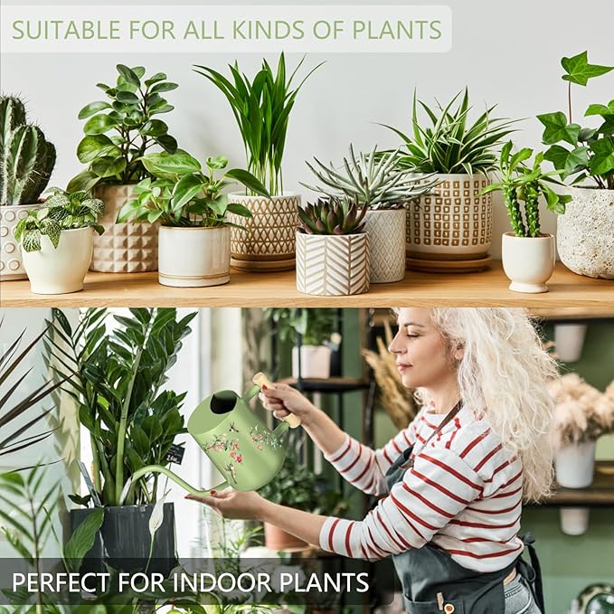 Watering Can Indoor Plants, 35oz Small Stainless Steel Metal Watering Can Modern Decorative Watering Pot with Long Spout for Indoor House Plant Bonsai Garden Flowers (Saga Green 2)