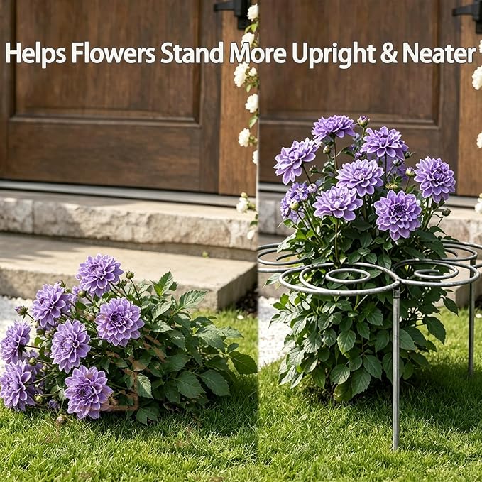 Metal Plant Support Ring for Garden, Heavy-Duty Peony & Dahlia Cage, Stackable Flower Support for Indoor & Outdoor Plants, Decorative Grow-Through Ring, Orchid Clip
