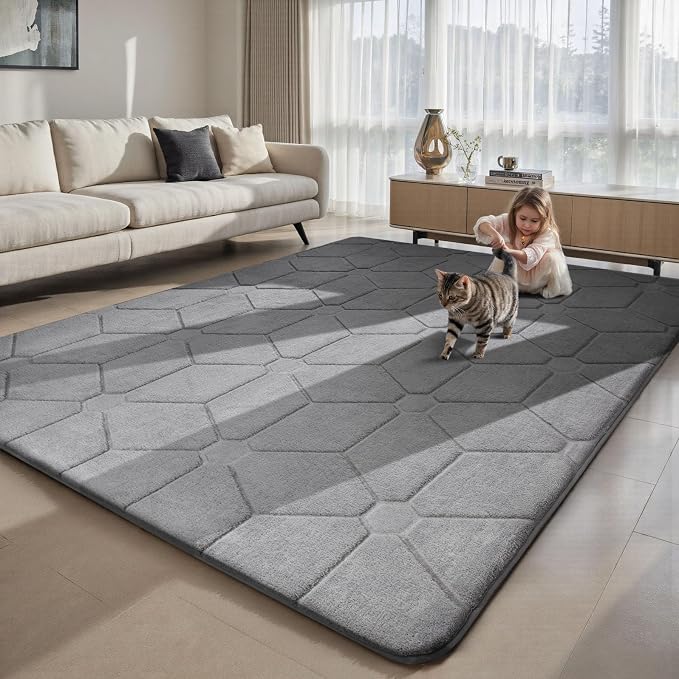 Sour Lemon 4x6 Area Rugs for Living Room, Soft Carpet Geometric Grey Rug | Washable, Alfombra Para Salas Modernas, Non Slip Big Soft Thick Fluffy Plush, Memory foam Rug for Playroom Kids Room