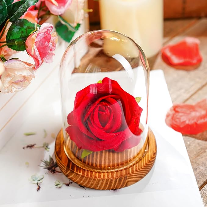ZEERSHEE Small Cloche Glass Dome with Wooden Base, Glass Display Dome Bell Jar for Plants, Keepsakes, Collectibles and Home Decor, Mini Cloche for Fairy Lights & Preserved Flowers, 5.1" H x 3.9" W