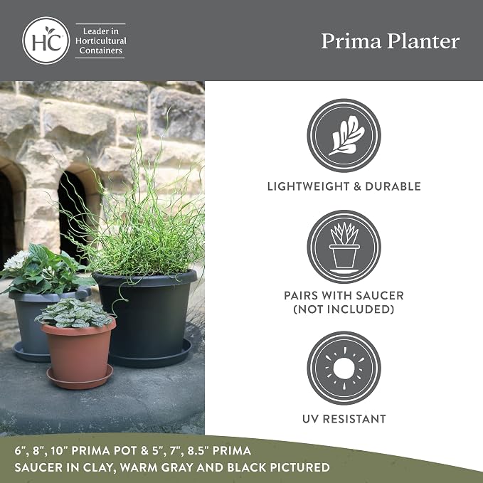 The HC Companies Prima Round Plastic Plant Pot w/Rolled Rim - Lightweight & UV Resistant Flower Pot for Herbs & More - Outdoor & Indoor Plant Pots w/Drainage (10 inch, Sandstone, Pack of 1)