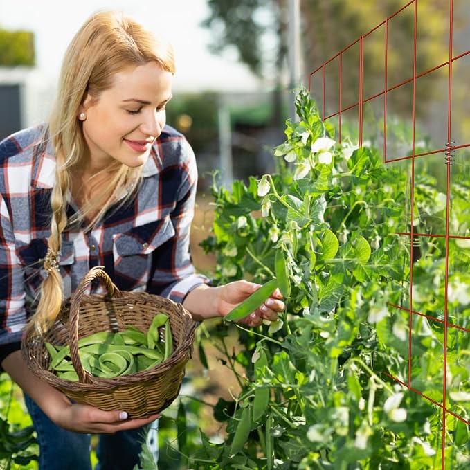 DOEWORKS Cucumber Trellis, 39" High Foldable A Frame Garden Trellis, 2 Pack, Plant Support for Climbing Cucumber, Beans, Tomatoes, Flowers, Red