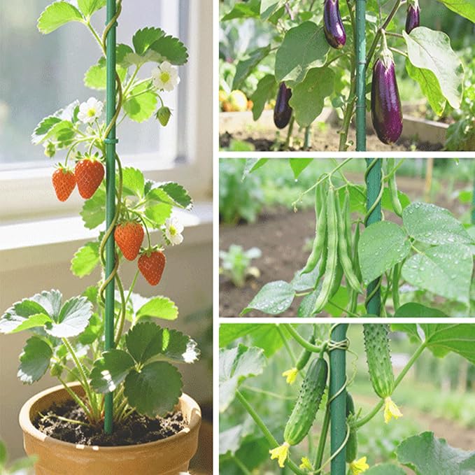 Garden Stakes 6FT 25pcs, Plastic Coated Steel Stakes Specifically Designed for Climbing Plants, Ideal for Tomatoes, Beans, Cucumbers, Peppers, Vines, and More Plant Growth