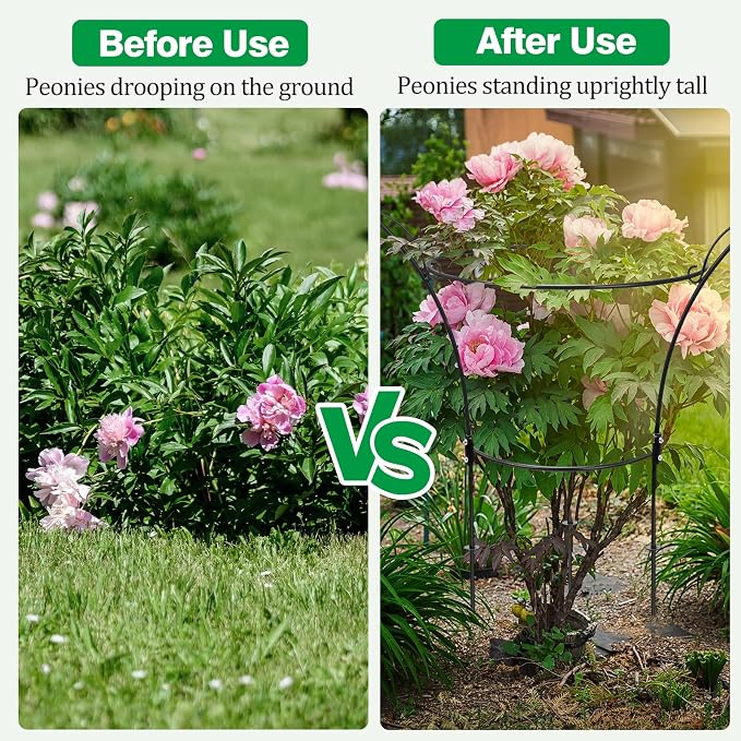 6 Pack Peony Cages and Supports Cages 13" D x 22.8" H Heavy Duty Metal Support Frame for Peonies & Roses Natural Bouquet Shape Garden Stakes for Outdoor Plants Flowers Ornamental (Black)
