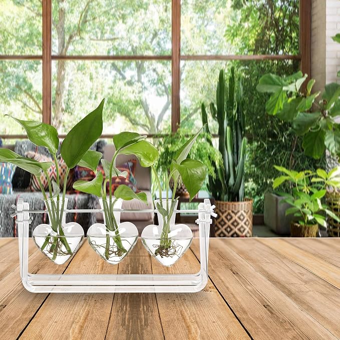 Clear Plant Terrarium Propagation Stations with Acrylic Stand | Birthday Gifts for Women Office Home Decor