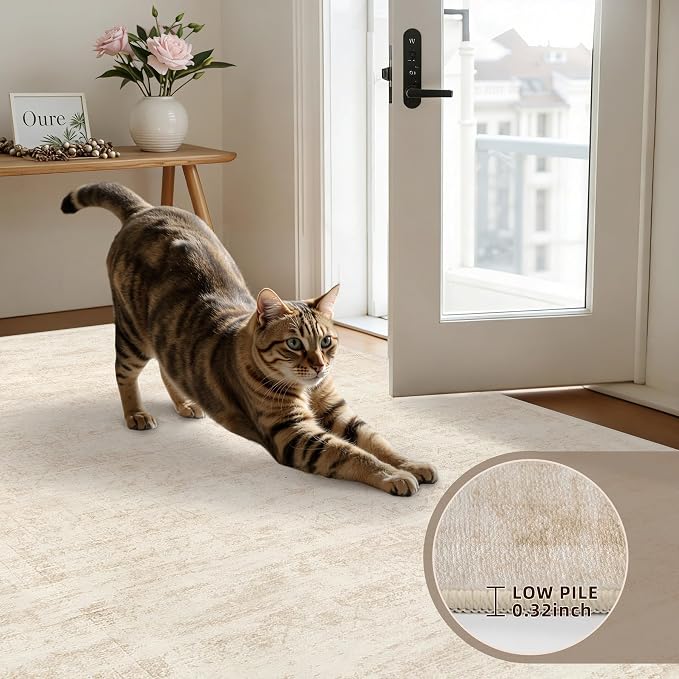 6x9 Area Rugs Living Room: Bedroom Washable Carpet Retro Beige | Large Vintage Boho Indoor Decor Neutral Soft Nursery Farmhouse Dining Room Office Floor Non-Slip Low Pile Under Table Rug