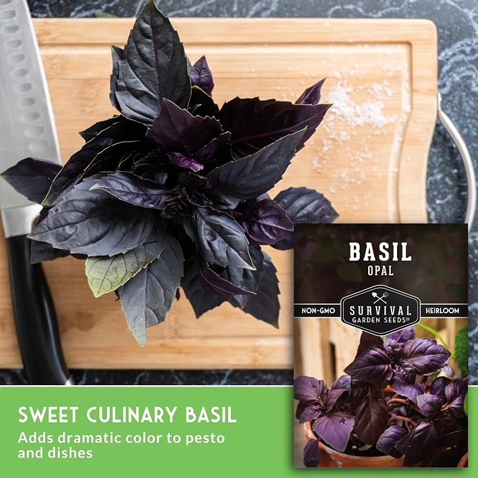 Opal Basil Seeds for Planting - Survival Garden Seeds (3 Pack) | Dark Purple, Nearly Black Leaves - Unique Herb Seed Variety - Heirloom, Non-GMO Herbs for Home Gardens