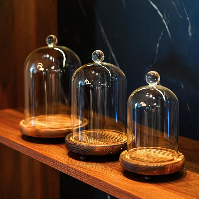 Set of 3 Decorative Glass Cloche Bell Jars with Wooden Bases, Assorted Sizes for Table Centerpieces, Seasonal Decorations and Home Accents