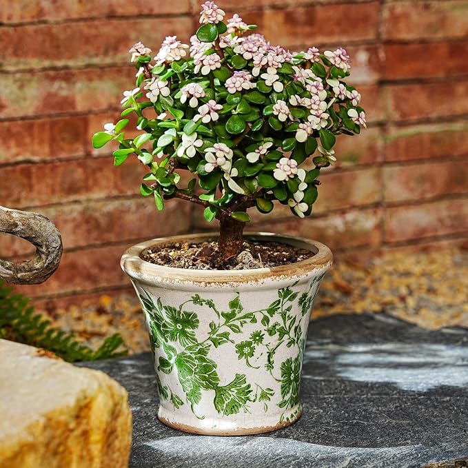 Sungmor Set of 2 Vintage Ceramic Flower Pots with Drainage Hole - Rustic Farmhouse Planters with Crackle Glaze & Floral Prints - Indoor Outdoor Decorative Plant Pots for Succulents, Herbs, Flowers