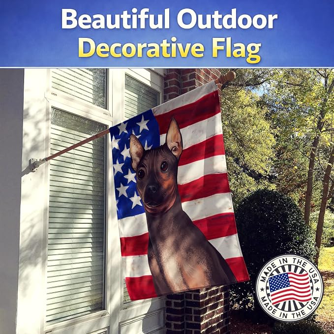 Caroline's Treasures CK6400CHF American Hairless Terrier American Flag House Flag Large Porch Sleeve Pole Decorative Outside Yard Banner Artwork Wall Hanging, Polyester, House Size, Multicolor