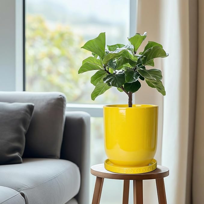 Eightpot Ceramic Plant Saucer, 7.5 Inch Plant Plates to Catch Water for Indoor Outdoors, Round Plants Trays for Pots, Modern Plants Dishes to Catch Water, Decorative Flower Pot Trays, Yellow