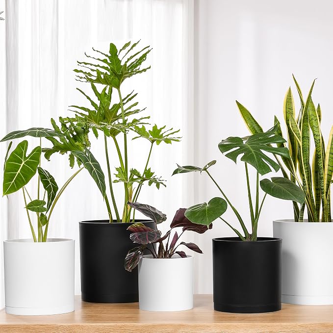 FaithLand 12-Inch Large Modern Cylinder Planter, Thick-Walled Plastic Plant Pot with Drainage Holes and Detachable Saucer, Matte White, Ideal for Indoor & Outdoor Plants Flowers