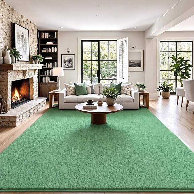 Keeko 4x6 Area Rugs for Living Room,Soft Washable Memory Foam Bedroom Rug | Indoor Throw Rug Low Pile Minimalist Non Slip Carpet for Kids Nursery Classroom Dorm Room Home Decor Sage Green