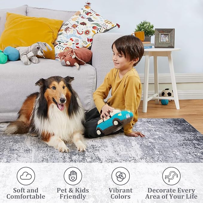 ROYHOME 6x9 Modern Abstract Area Rug Non Slip Non Shedding Low Pile Stain Resistant Rug Soft Carpet for Bedroom Living Room, Light Grey