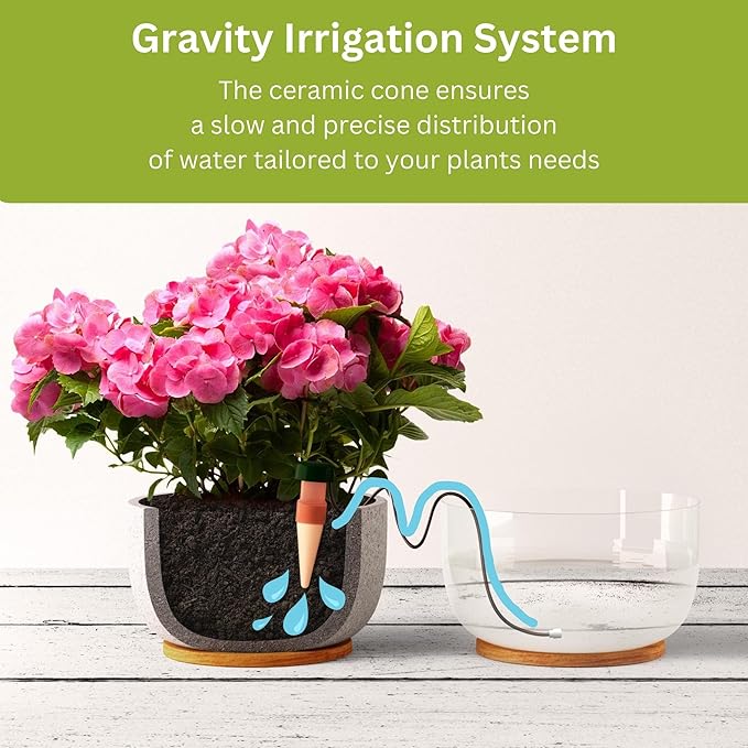 Blumat Classic Self-Watering Stakes - Prevents Overwatering and Underwatering for Healthy Growth While You are Away - Ideal for Indoor Plant Watering (12 Pack w/o Adapter)